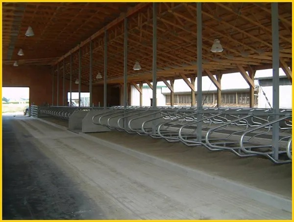 Hot DIP Galvanized Cow Freestall with Customized Size and Bolt Connection for Cattle Farm Equipment