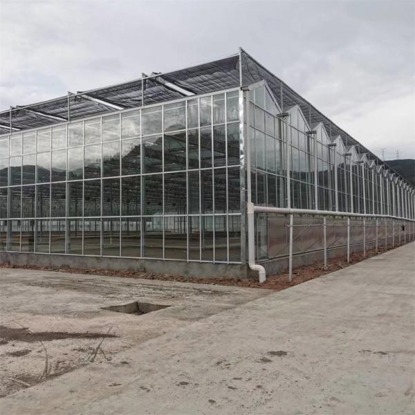 Heating System Serra Di Vetro Multi-Span Greenhouse Venlo Greenhouse Spare Parts Venlo Glass Winter Greenhouse
