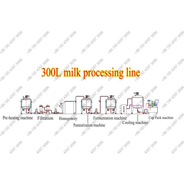 Automatic Factory Supplier Fish Grading Machine Farm