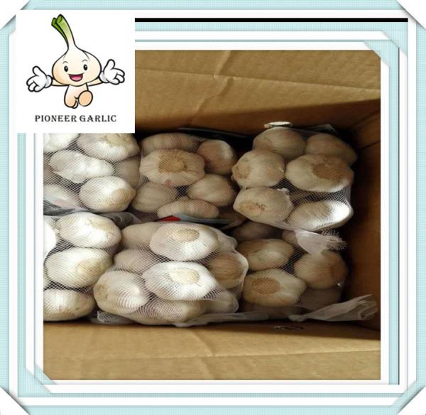 2016 New Fresh Garlic Pure White Fresh Garlic New Fresh garlic 3.5-7.0cm