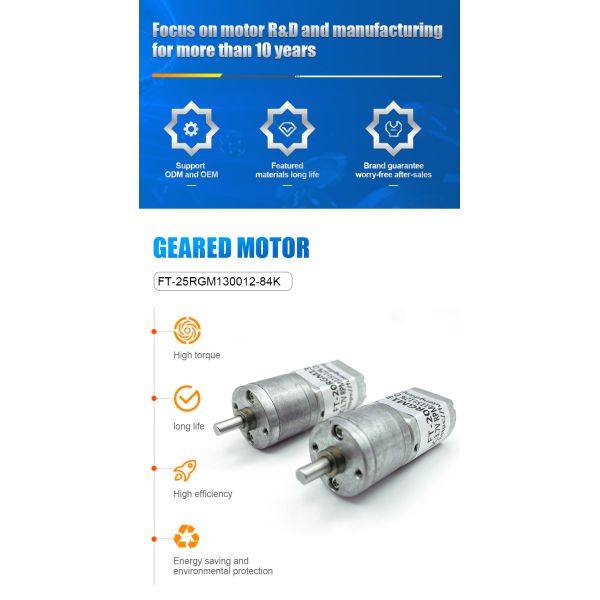 FT-25RGM130 DC Spur Gear Motor Explosion Proof 25mm Diameter