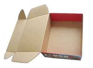 Carton Box Packing Machine