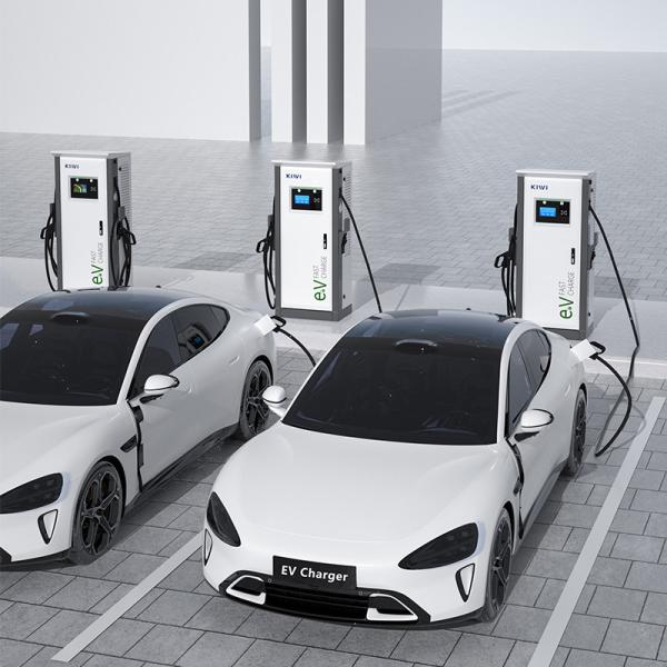 Commercial Electric Car and Bus CCS Chademo Ocpp 1.6 60kW 80kW 120kW 150kW EV DC Fast Charging Station