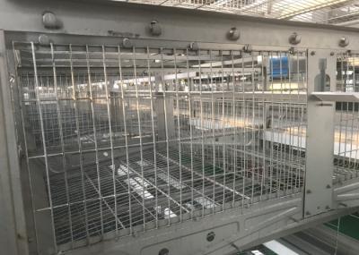 Chicken Poultry Farm Water System Water Nipples Feeder Line ISO9001 Certification