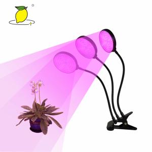 Timing LED Indoor Plant Grow Light Remote Control Red And Blue Color 45W
