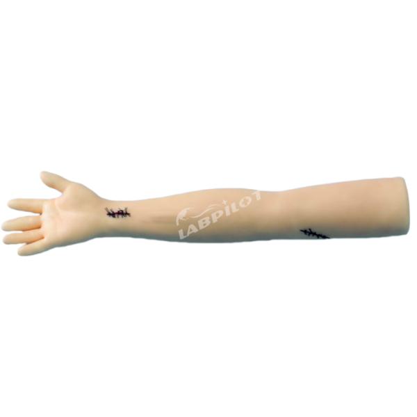 Medical Science Advanced Surgical Suture Training Arm for Professional Development