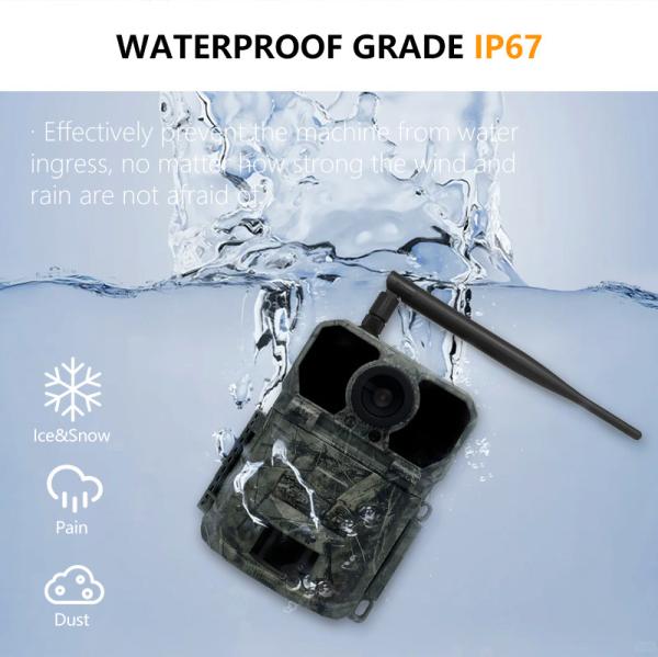 30MP Deer Trail Camera Megapixel Sensors Waterproof IP65 With SDHC Card