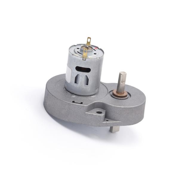 RS365 RS385 Coffee Machine Motor 250g 15.8RPM Pear Shape GM58