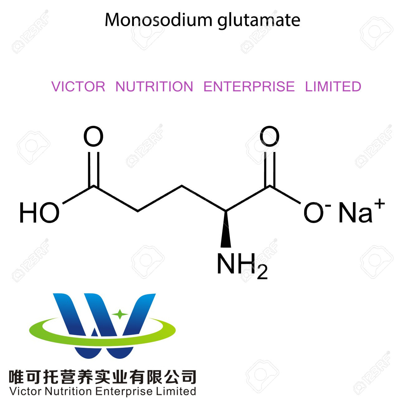 Certified Halal Monosodium Glutamate Msg with and EINECS 205-538-1 Certification
