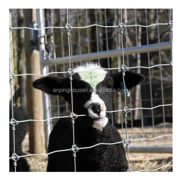 Square Hot Dipped Galvanized 1.2m Cattle Veld Span Fence of Iron Wire Coating
