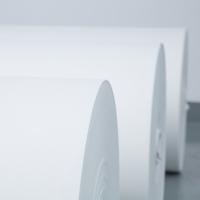 260 g/m2 Médias de filtration pour cartouches de poussière à membrane en PTFE en feutre d'aiguille