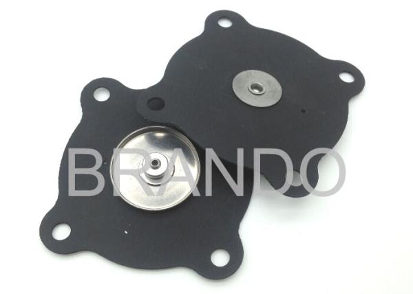 2W250-25 Stainless Steel Viton Diaphragm For 1 Inch Water Solenoid Valve