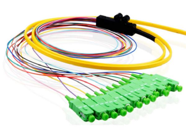 PVC / LSZH SM Fiber Optic Pigtail 12 Cores SCAPC Ribbon Pigtail Single Mode