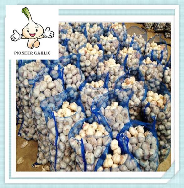 crazy selling creative fresh white garlic best selling wholesale pure white garlic