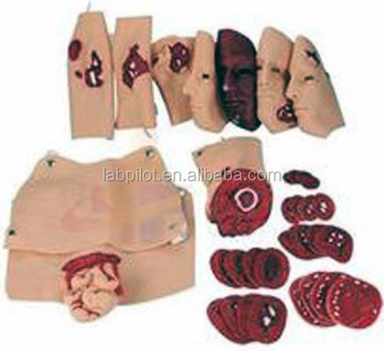Upgrade Your Wound First Aid Training Care with Advanced PVC Trauma Simulation Kit