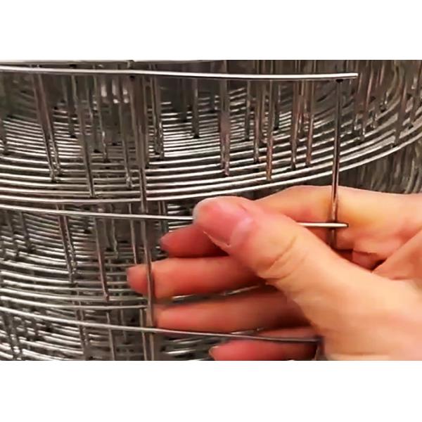 Agricultural Breeding 1.2mm-4mm Galvanized Steel Mesh Roll For Tensile Strength 350n 550n/M2