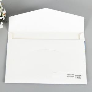 Custom Folder Brochure/Book/Catalog Printing/Paper Envelope Printing
