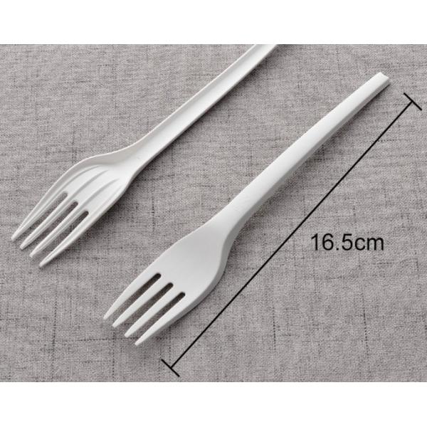 Disposable Spoon Fork Knife Set Biodegradable Option for Catering and Buffet Service