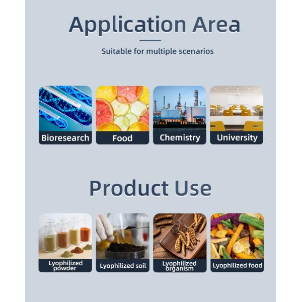 ZLGJ-50 Стандартный силиконовый оливковый пилотный лабораторный морозильный сушильщик