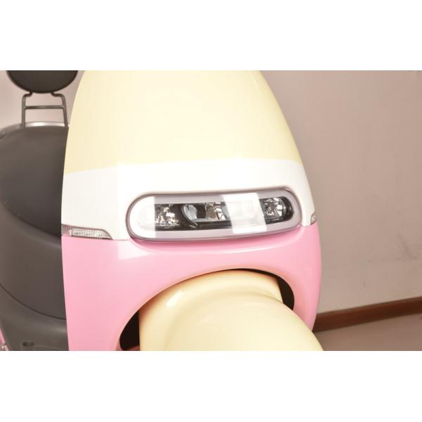 48V 500W Hub Brushless Electric Scooter Pedal Assisted With Disc Brake