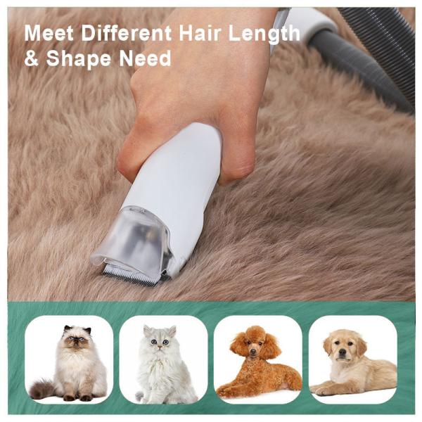 Peso do produto 3,9 kg Kit de vácuo de limpeza de animais de estimação personalizado com 6 ferramentas de limpeza