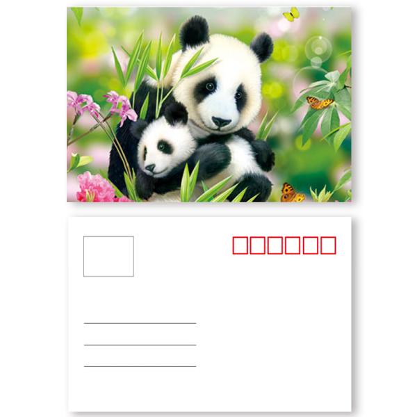 Full Color 0.6 MM PET Lenticular 3d Poster Card With Pearlised Film