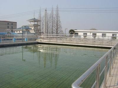 Water Treatment Chemicals Calcium Hydroxide For Enhanced Industrial And Agricultural Processes