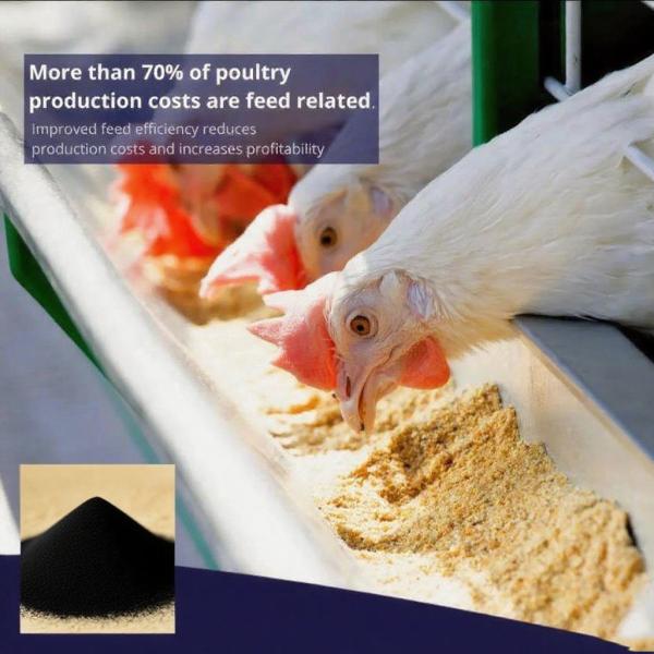 Chicken Feed Addtitives Sodium Humic Acid For Animal Feed Sodium Humate