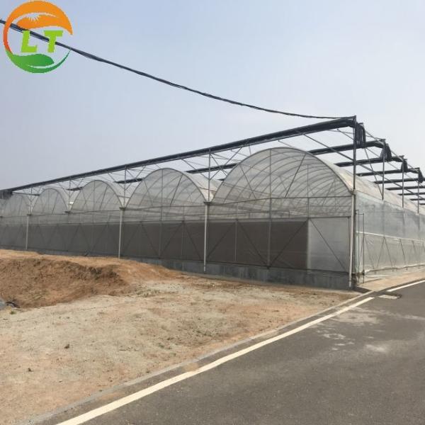 Sistema de sombreamento interno de estufa de camada única e filme plástico para o cultivo de sementes de vegetais