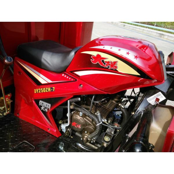 DAYANG tricycle africain à réservoir d'eau chaude de 250 cc avec cabine en fer et moteur à refroidissement par eau