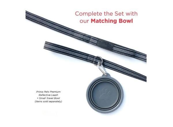 Highly Reflective Nylon Dog Leash Customized With Soft Thick Padded Double Handles