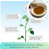 Acide aminé liquide acide Pepetides 500g/L OMRI 8-0-0 d'engrais d'enzymes