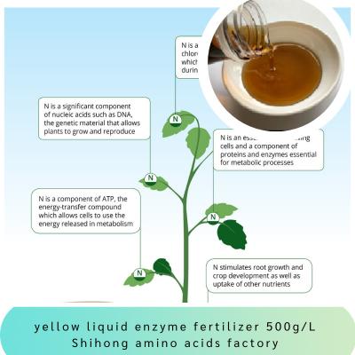 Enzyme Acid Liquid Fertilizer Amino Acid Pepetides 500g/L OMRI 8-0-0