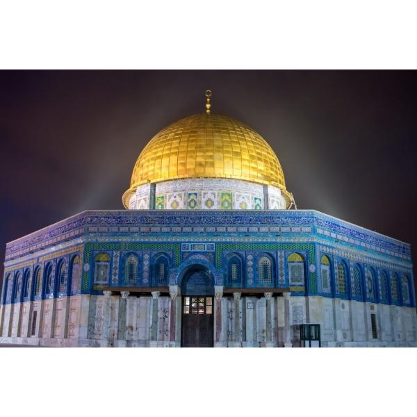 Aditivo para la mejora del suelo de humato de sodio industrial para la perforación de cerámica Aguas residuales