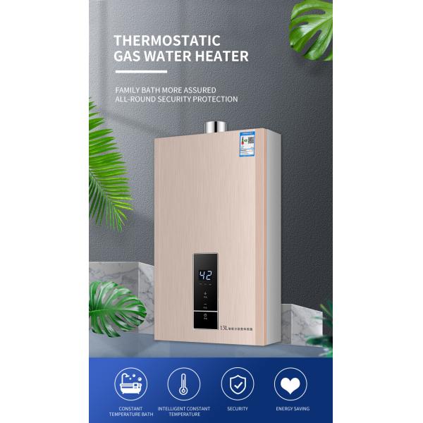 Natural LP Gas Tankless Water Heater Hot Water Boiler 16000W 10L-16L