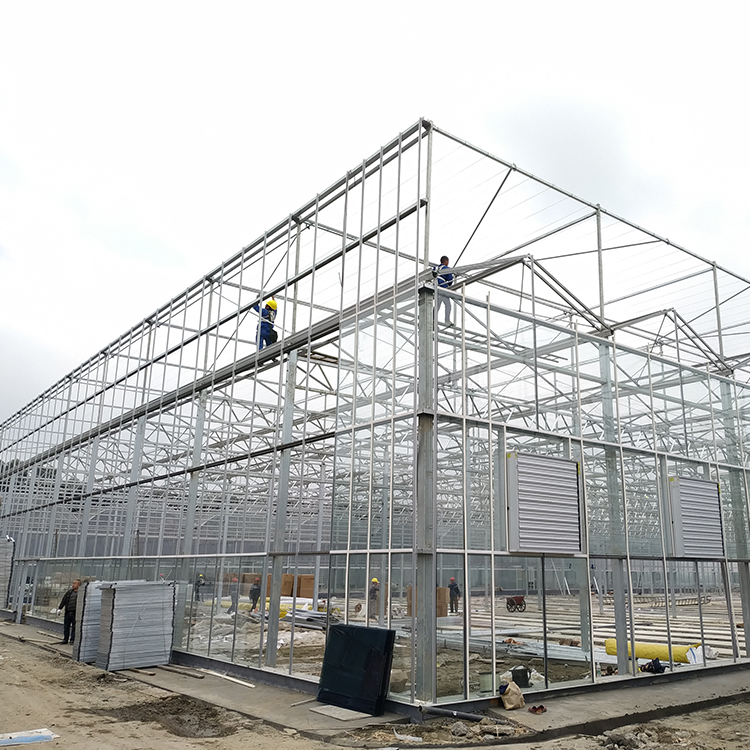 Готический тип структура Venlo парника аграрная стабилизированная легко собрал