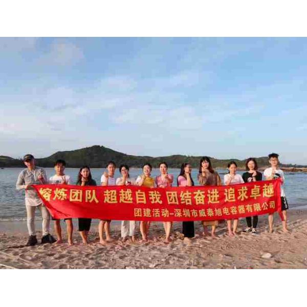 Shenzhen Weitaixu Capacitor Co.,Ltd