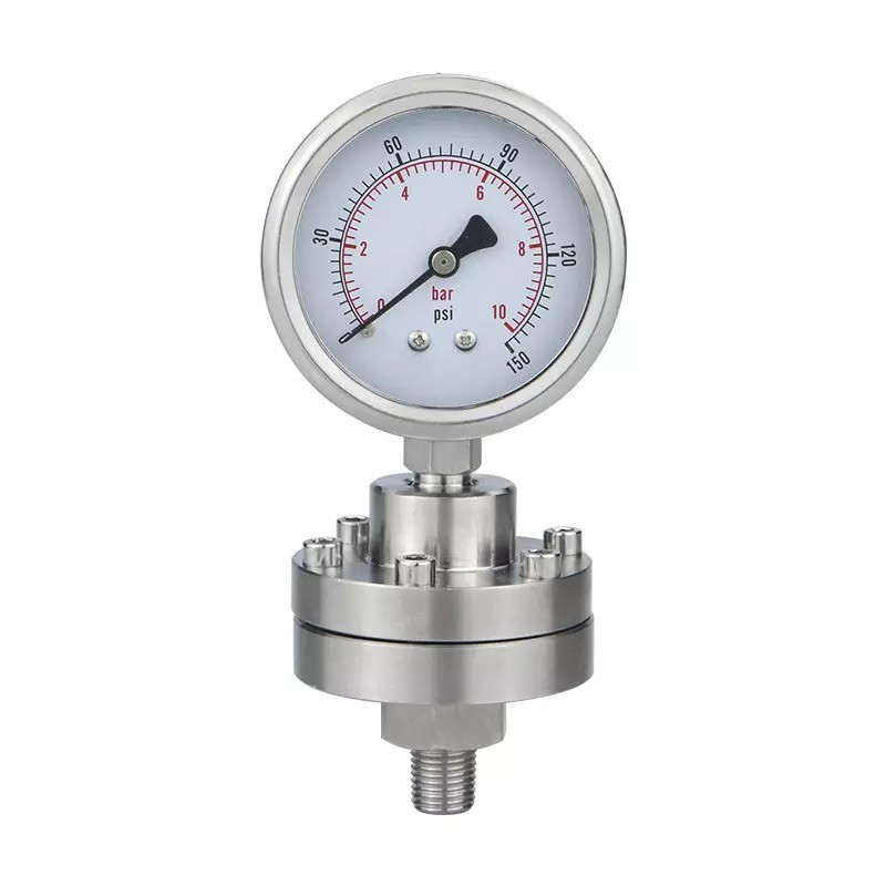 Zhejiang Made 2.5 Precision 60mm Stainless Steel Diaphragm Pressure Gauges with Long