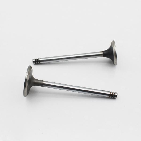 20798699 20798533 Diesel Engine Valve D6D D6E Intake Exhaust Valve For Volvo EC160B EC200B EC210B