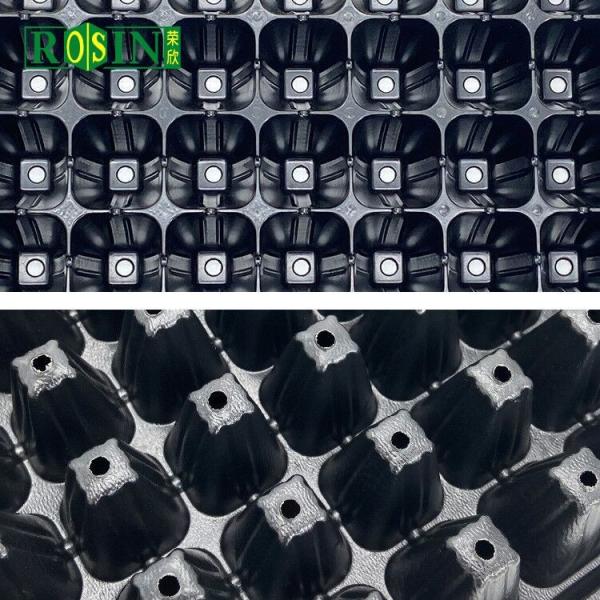 28 Hole Black Agriculture Plastic Trays Aging Resistance For Planting Vegetable
