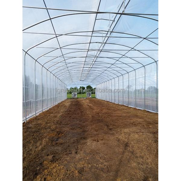 Grow Vegetables Single Span Greenhouse Flowers Tropical Climate Greenhouse
