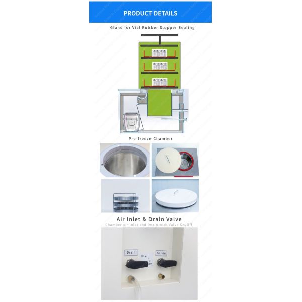 6Kg/Batch Vertical Freeze Dryer -60C Lyophilization Laboratory