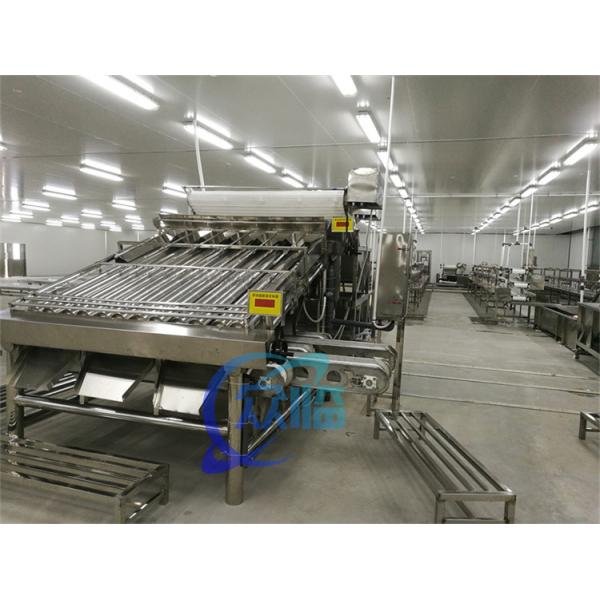 Коммерческая рыба для пелагической рыбы