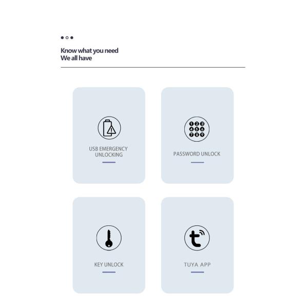Secure Your Door with Battery-Powered Digital Smart Lock and TTlock Tuya WiFi App