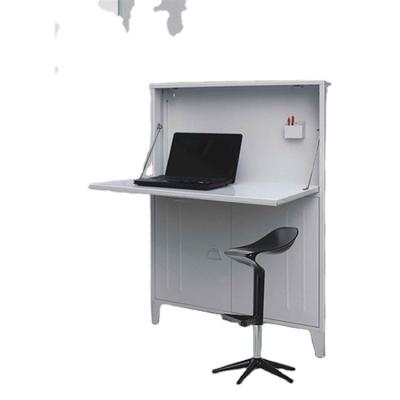 France Style Home Steel PC Desk Metal Home Storage Furniture