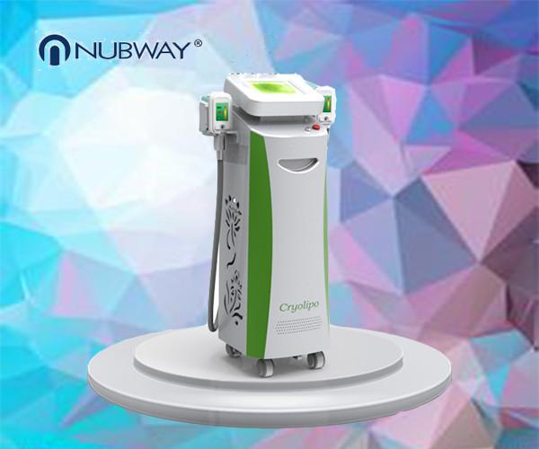 hot sale body slimming machine double heads cryolipolysis body slimming