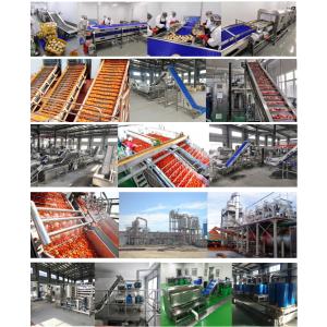 Fresh Tomato Sauce Processing Equipment