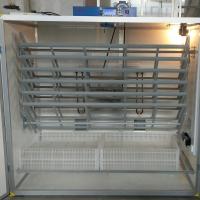 Máquina de Hen Hatching Incubator Hatchery Chicks de la incubadora de 3000 huevos