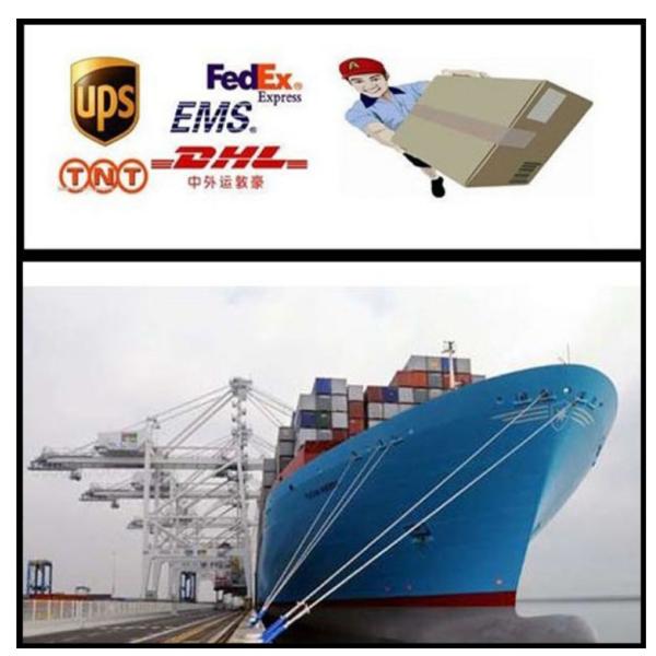 Macetas blancas decorativas del color del centro comercial de la fibra de vidrio de las estatuas interiores de la resina