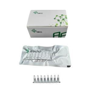 Kit de amplificação de ARN de alta sensibilidade liofilizado Resultados rápidos